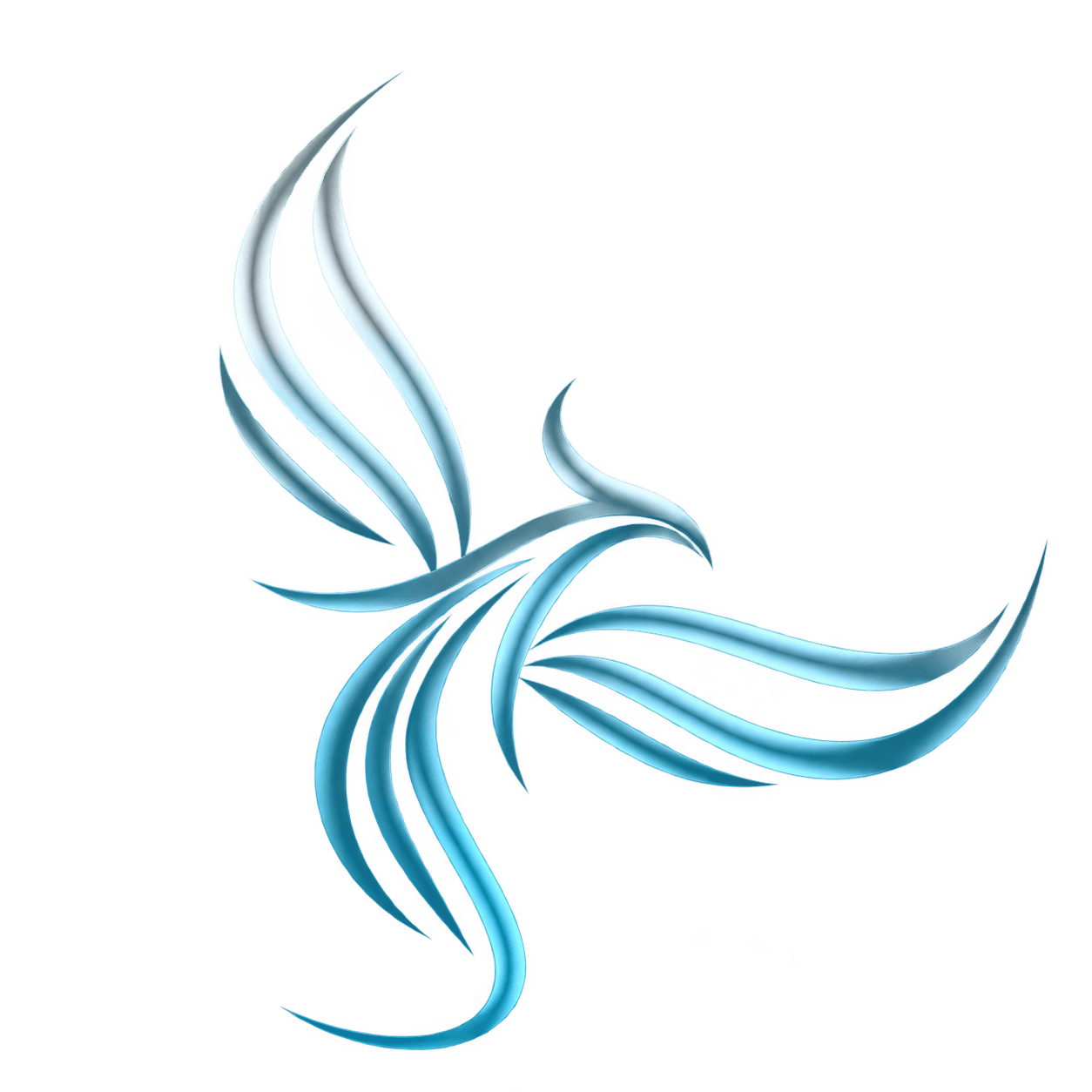 Anka Estetik ve Plastik Cerrahi logo